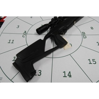 Stoeger XM1 Scout .22 With Scope